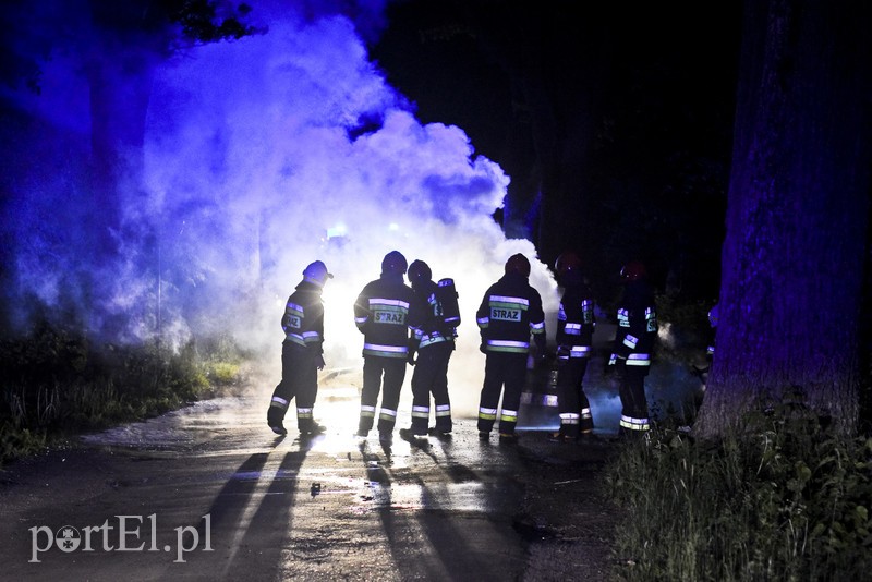 Elbląg Infiniti spłonęło doszczętnie przy S22