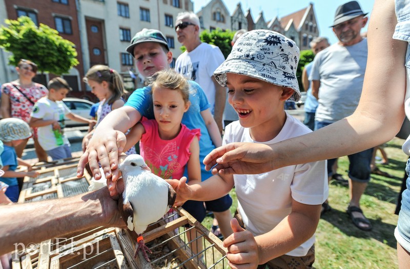 Miasto należy dziś do dzieci zdjęcie nr 176562