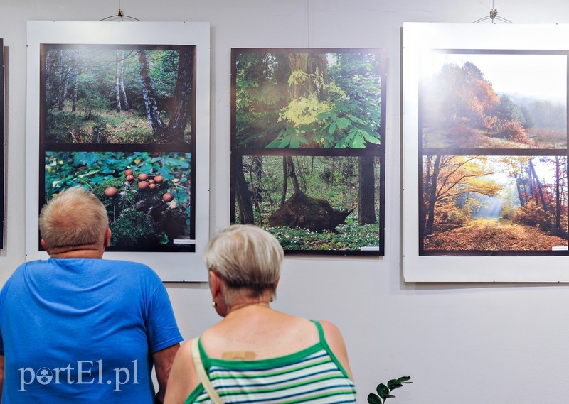 Zdjęcia przyrody na urodziny zdjęcie nr 176604