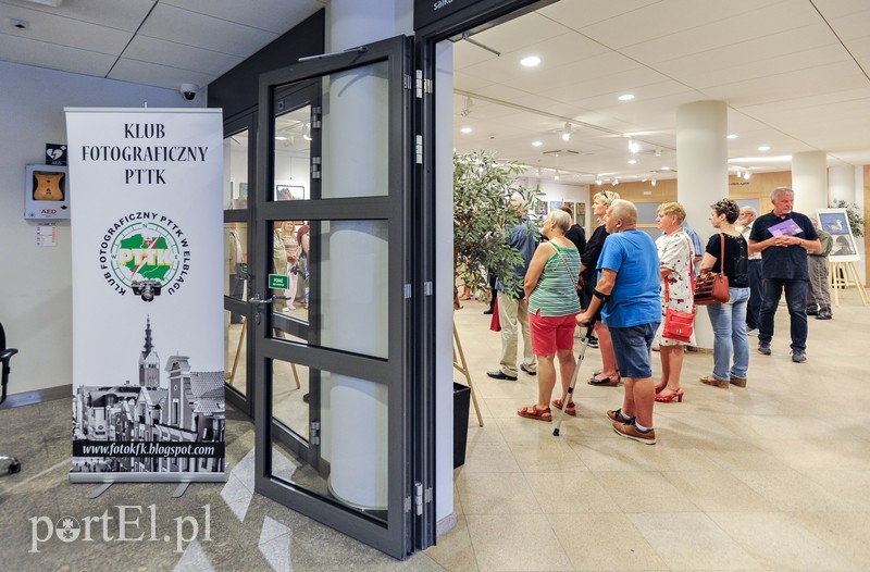 Elbląg Zdjęcia przyrody na urodziny