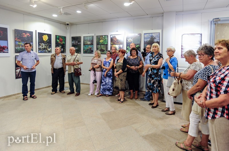 Zdjęcia przyrody na urodziny zdjęcie nr 176608