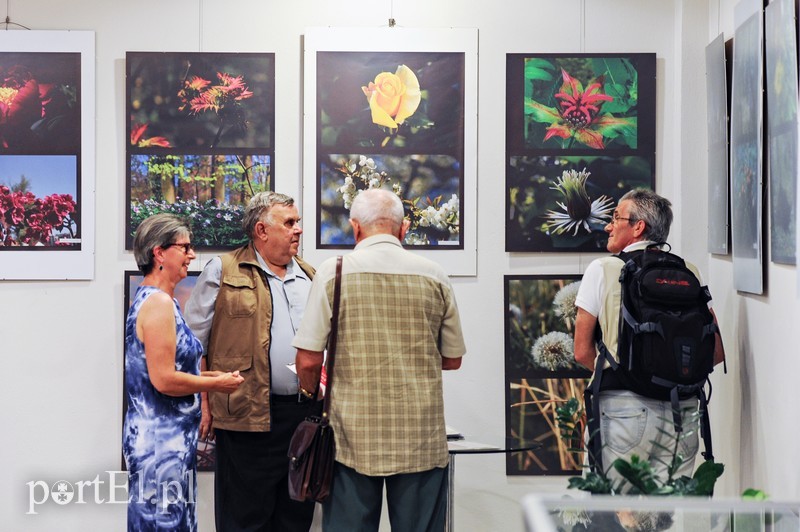 Zdjęcia przyrody na urodziny zdjęcie nr 176601