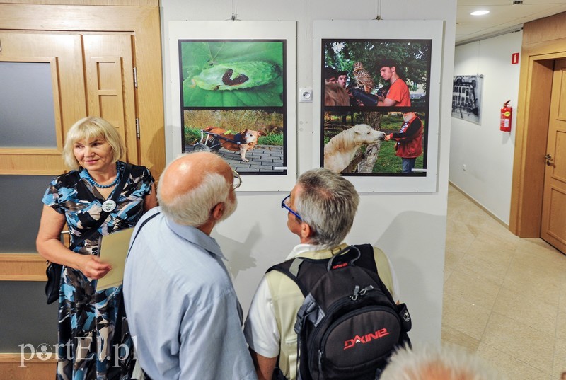 Zdjęcia przyrody na urodziny zdjęcie nr 176614