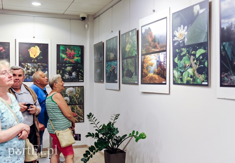 Zdjęcia przyrody na urodziny zdjęcie nr 176603