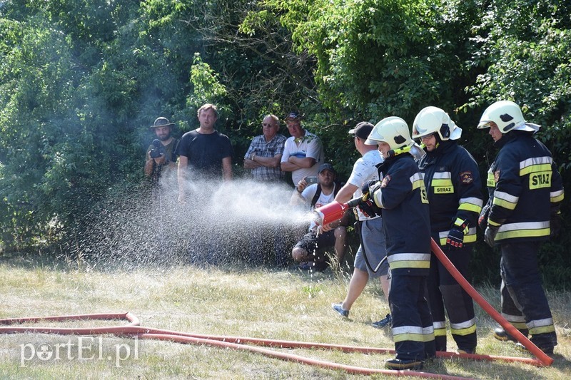 Klasycznie pod gruszą! zdjęcie nr 176719