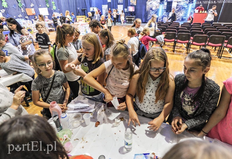 Światowid zdjęcie nr 177831