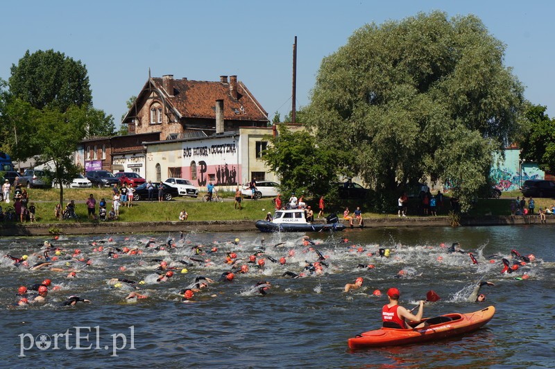 Elbląg był dzisiaj stolicą triathlonu zdjęcie nr 178183