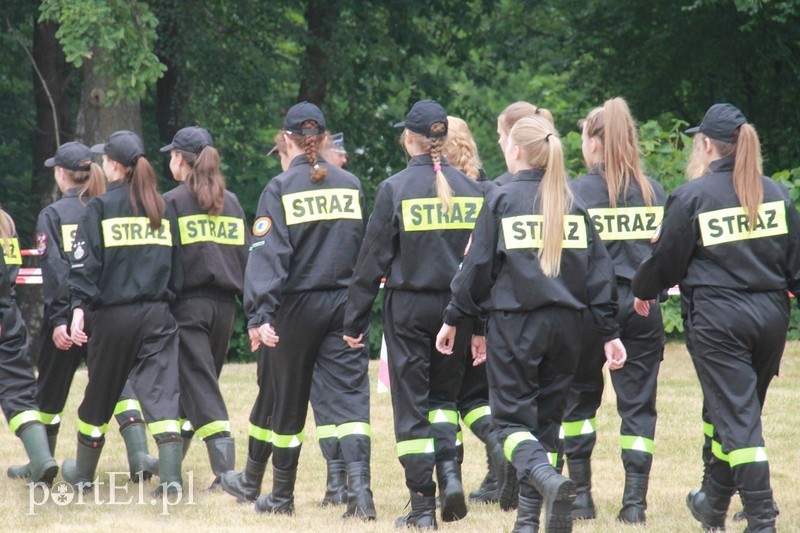 Strażacy ochotnicy w akcji zdjęcie nr 178200