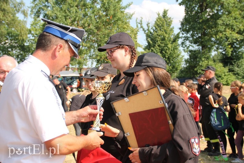 Strażacy ochotnicy w akcji zdjęcie nr 178265