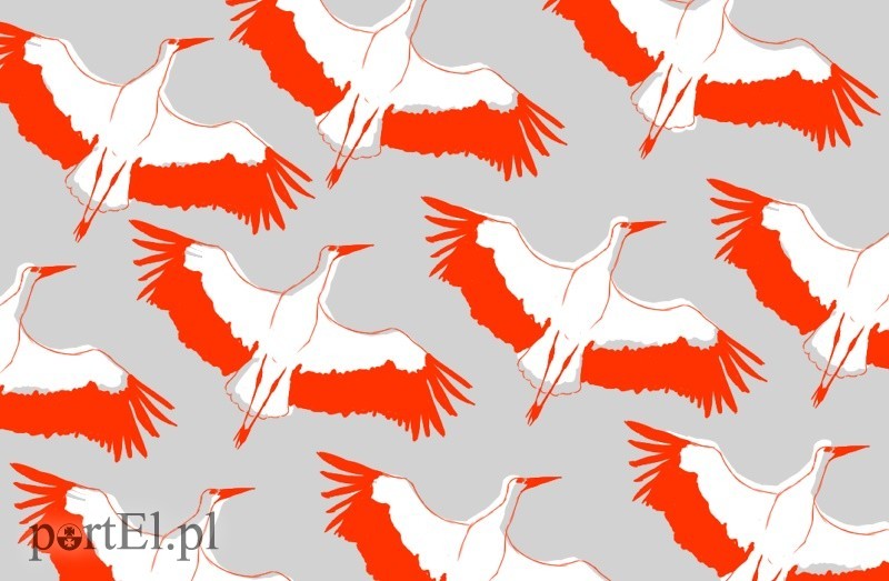 Murale niepodległości zdjęcie nr 178629