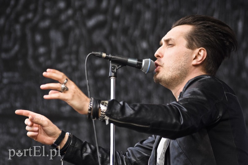 Braterska moc, rogi Sarsy, freestylowa gadka zdjęcie nr 179013