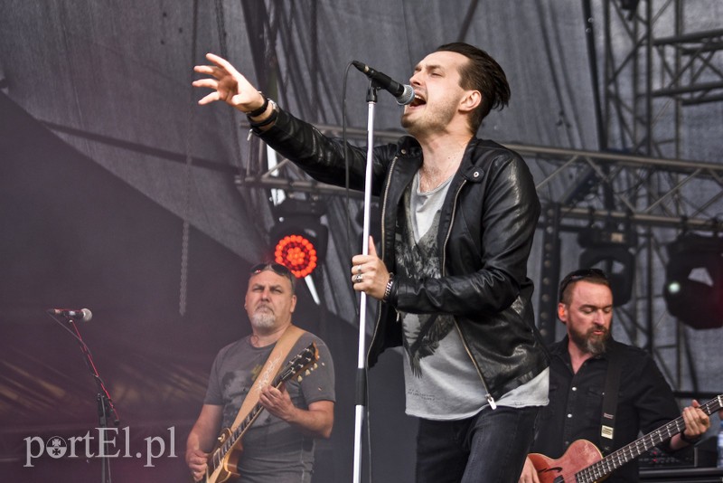 Braterska moc, rogi Sarsy, freestylowa gadka zdjęcie nr 179011