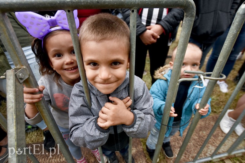 Braterska moc, rogi Sarsy, freestylowa gadka zdjęcie nr 179048