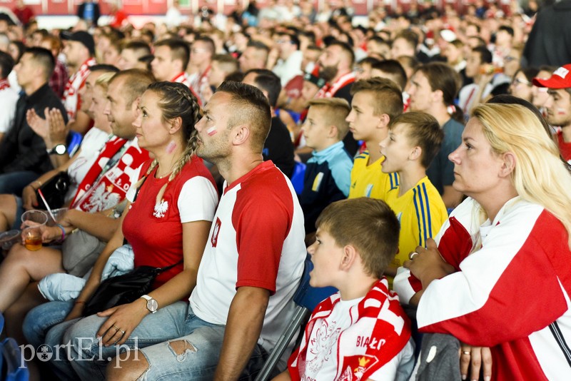 Jęk zawodu w Elbląskiej Strefie Kibica zdjęcie nr 179219