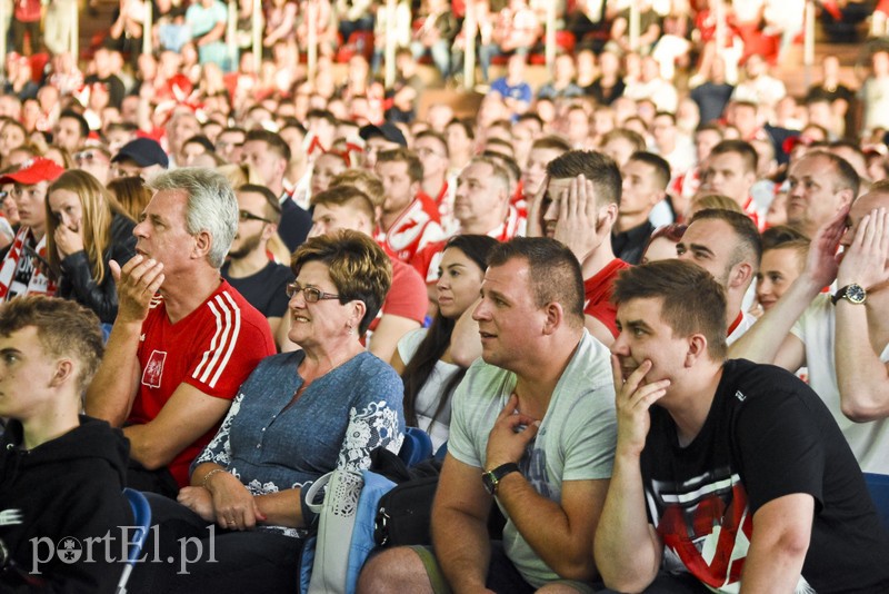 Jęk zawodu w Elbląskiej Strefie Kibica zdjęcie nr 179225