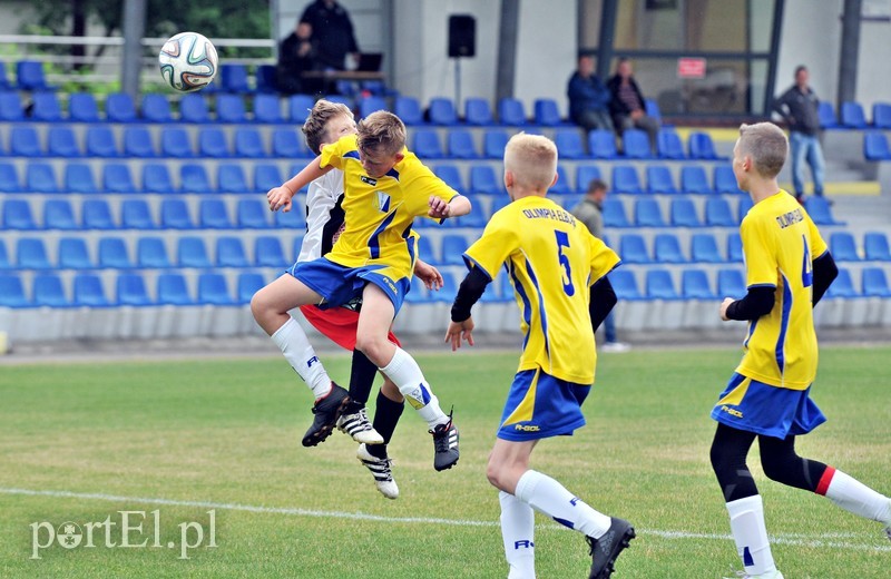 Mundial po elbląsku zdjęcie nr 179302