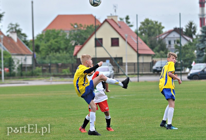 Mundial po elbląsku zdjęcie nr 179301