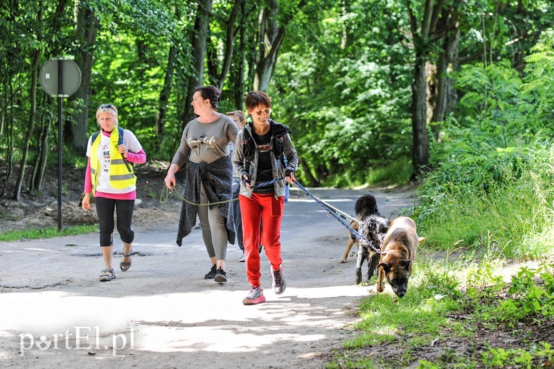 Rekordowy Bieg na Sześć Łap zdjęcie nr 179682