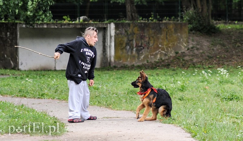 Adopsiaki mają głos zdjęcie nr 179720