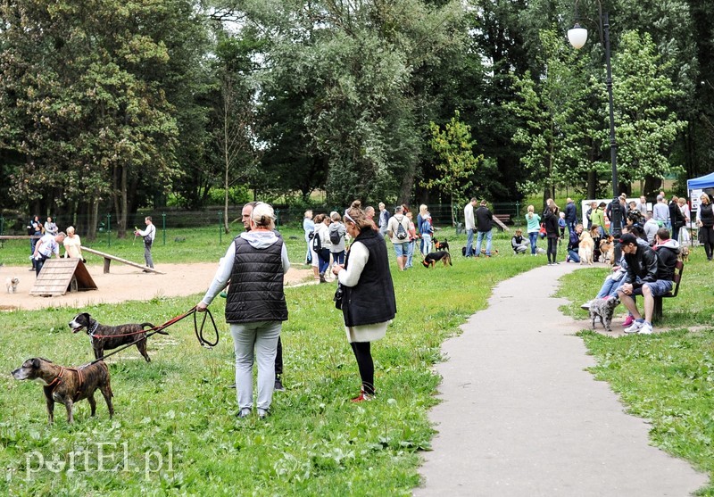 Adopsiaki mają głos zdjęcie nr 179717