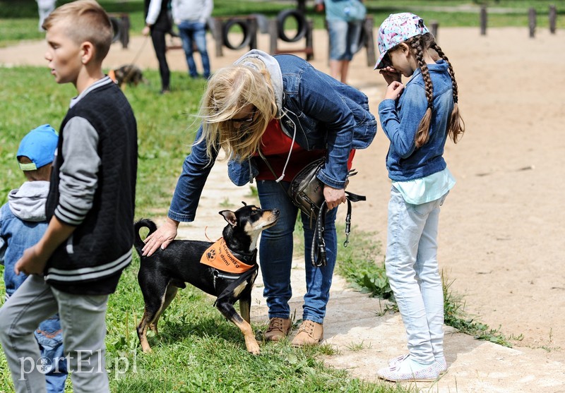 Adopsiaki mają głos zdjęcie nr 179709