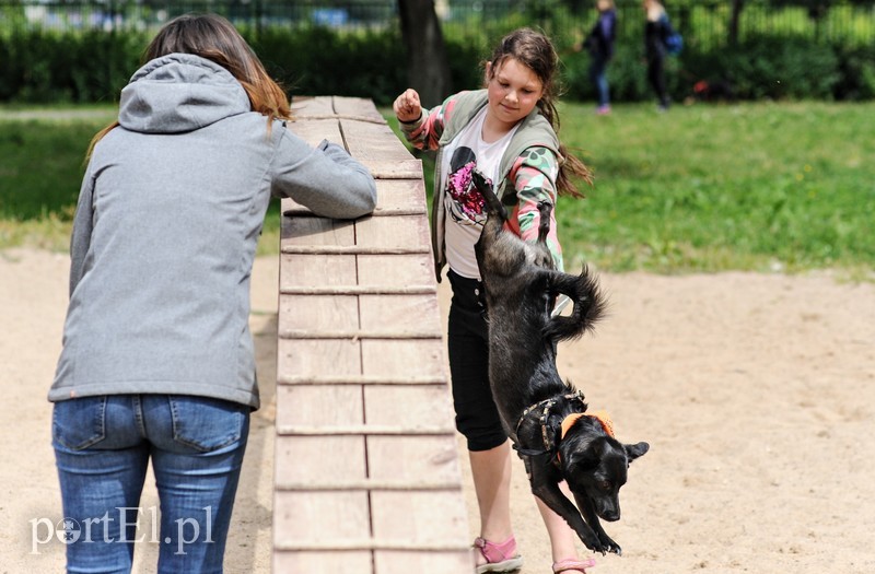 Adopsiaki mają głos zdjęcie nr 179710