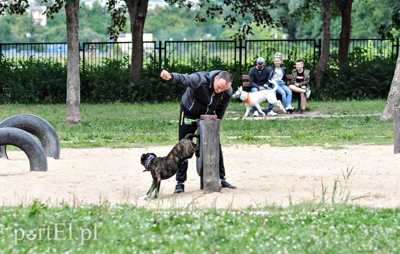 Adopsiaki mają głos zdjęcie nr 179719