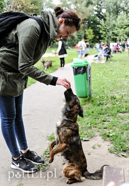 Adopsiaki mają głos zdjęcie nr 179716