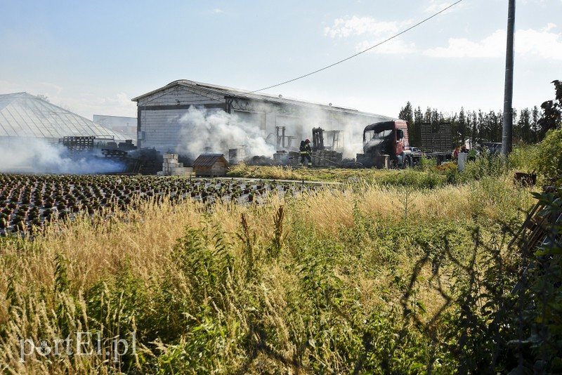 Pożar ciężarówki tuż pod warsztatem w Kazimierzowie zdjęcie nr 179935