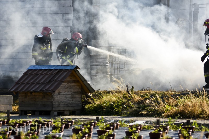 Pożar ciężarówki tuż pod warsztatem w Kazimierzowie zdjęcie nr 179940