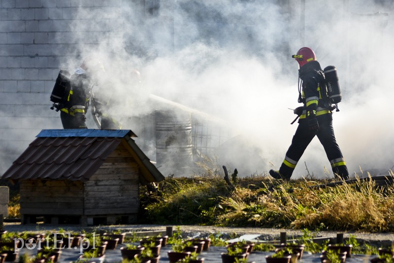 Pożar ciężarówki tuż pod warsztatem w Kazimierzowie zdjęcie nr 179941