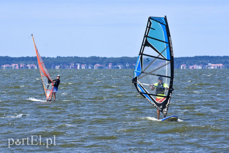 Lek na raka krwi nosimy w sobie zdjęcie nr 180364