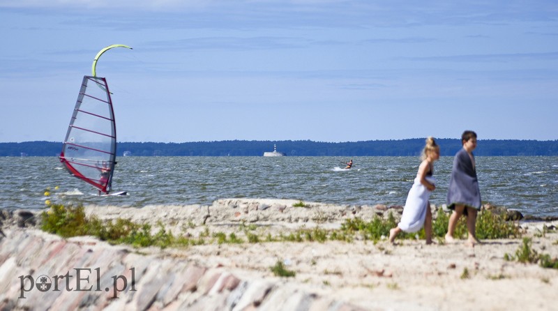 Lek na raka krwi nosimy w sobie zdjęcie nr 180360