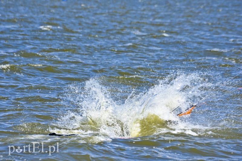 Lek na raka krwi nosimy w sobie zdjęcie nr 180370