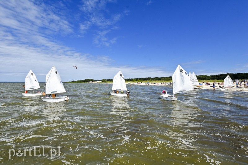 Lek na raka krwi nosimy w sobie zdjęcie nr 180373