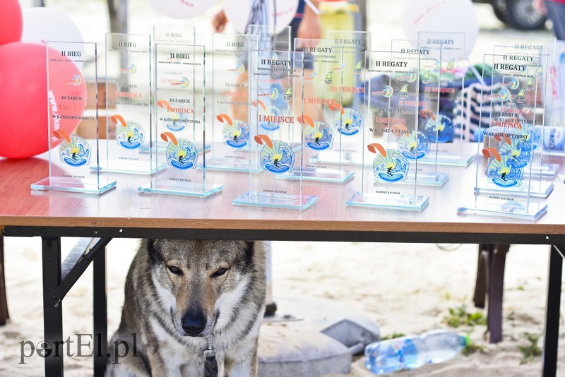 Elbląg Lek na raka krwi nosimy w sobie