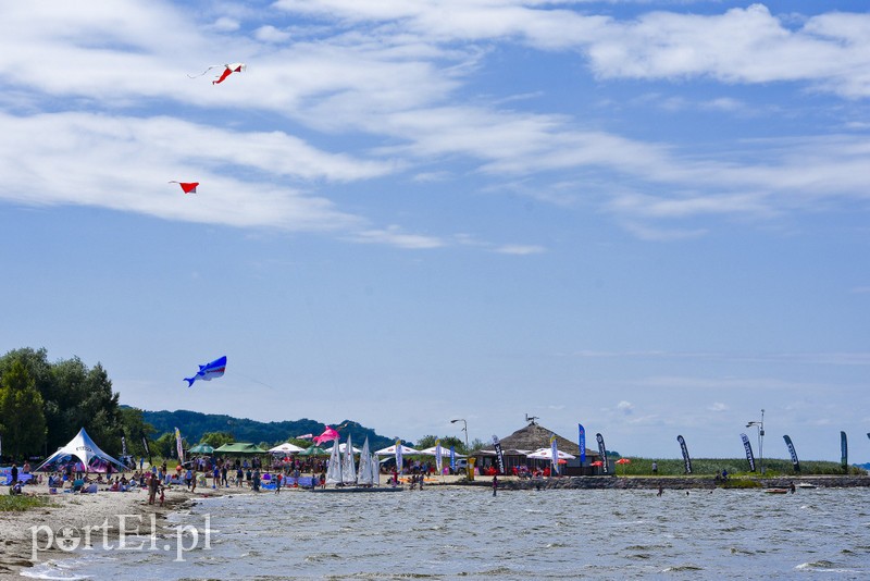 Lek na raka krwi nosimy w sobie zdjęcie nr 180352