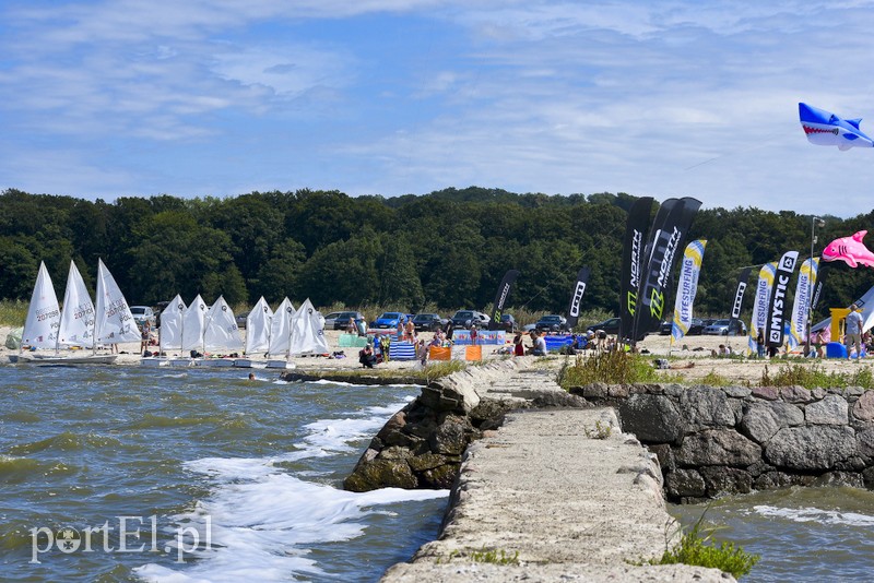 Lek na raka krwi nosimy w sobie zdjęcie nr 180365