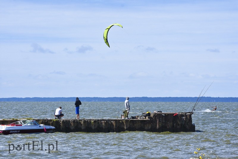 Lek na raka krwi nosimy w sobie zdjęcie nr 180354