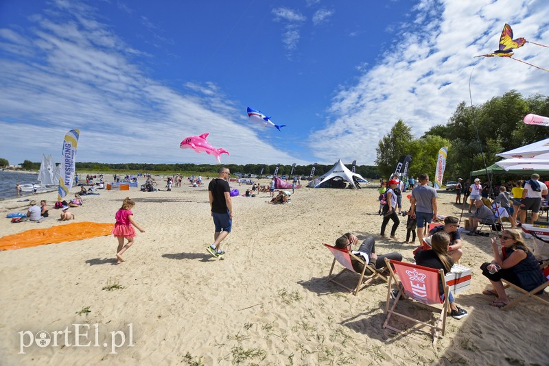 Lek na raka krwi nosimy w sobie zdjęcie nr 180346