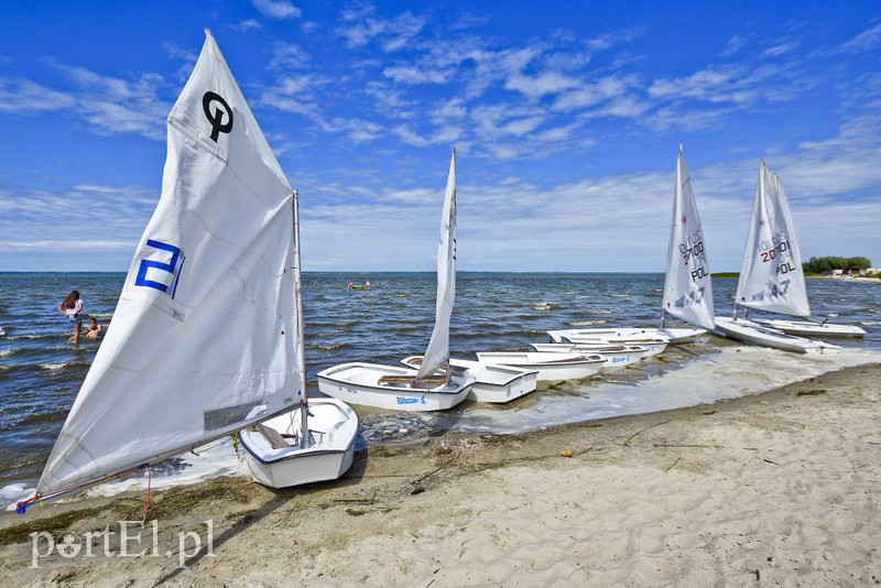 Lek na raka krwi nosimy w sobie zdjęcie nr 180349