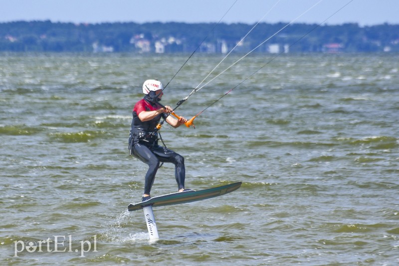 Lek na raka krwi nosimy w sobie zdjęcie nr 180372