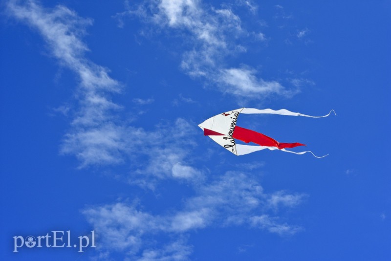 Lek na raka krwi nosimy w sobie zdjęcie nr 180344