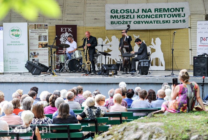 Jazz poszedł w las zdjęcie nr 180800