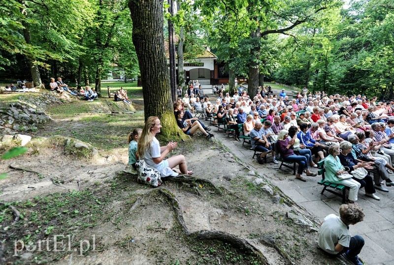 Jazz poszedł w las zdjęcie nr 180793