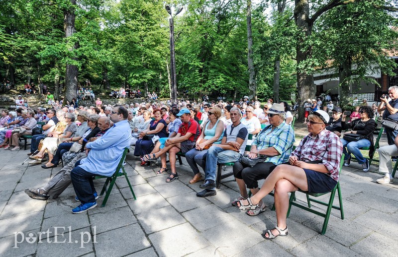 Jazz poszedł w las zdjęcie nr 180811