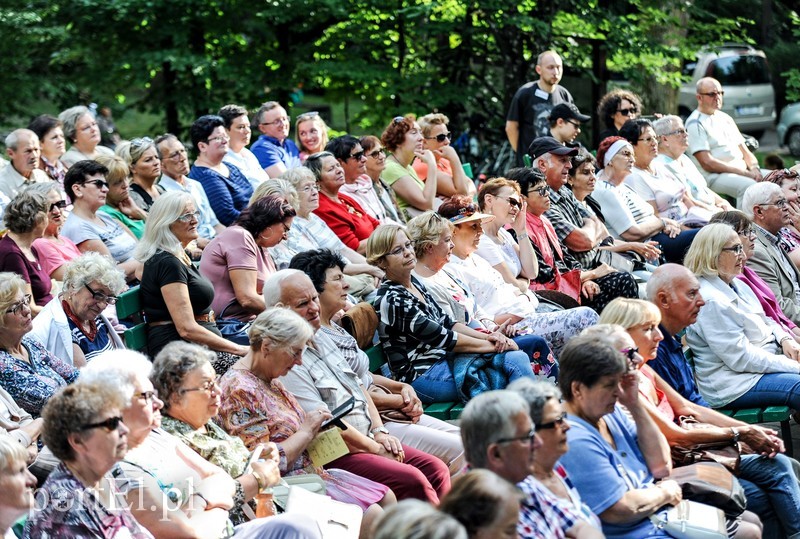 Jazz poszedł w las zdjęcie nr 180795