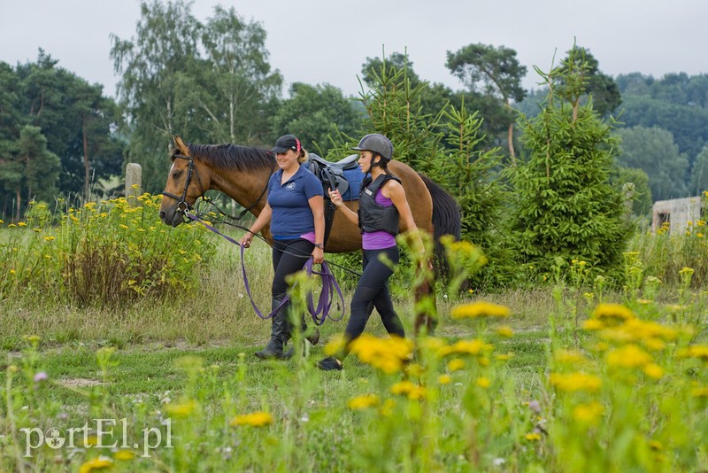 Alicja testuje SportEl.pl: jazda, która uspokaja zdjęcie nr 180865