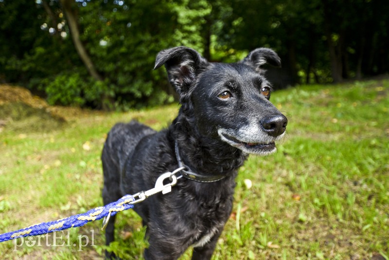 Galeria pod psem i kotem (Odc.11) zdjęcie nr 181041