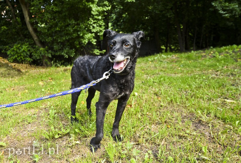 Galeria pod psem i kotem (Odc.11) zdjęcie nr 181040